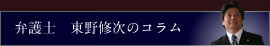 �ٌ�m�@����C���̃R����